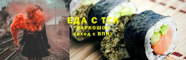 индика Володарск