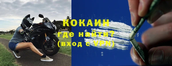 индика Володарск