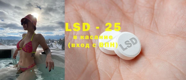 индика Володарск