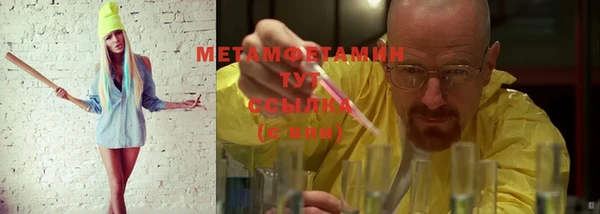 индика Володарск