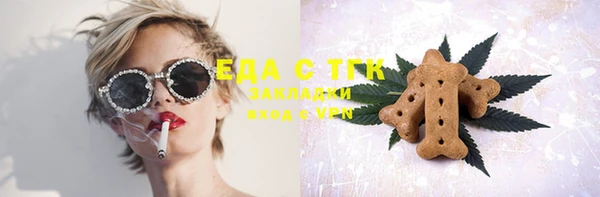 индика Володарск
