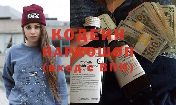 индика Володарск