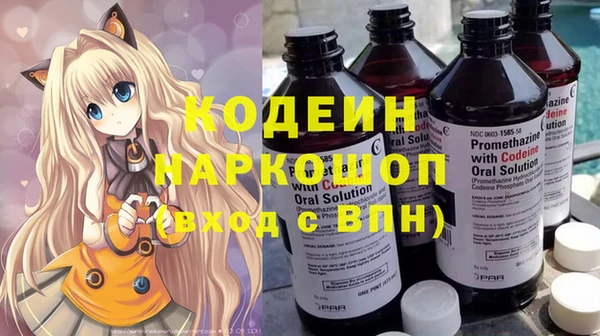 индика Володарск