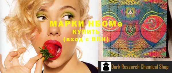 индика Володарск