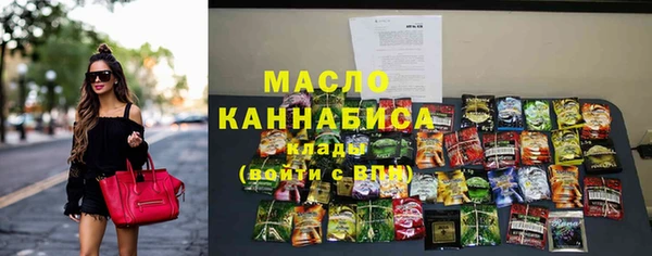 индика Володарск