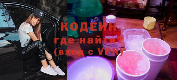 индика Володарск