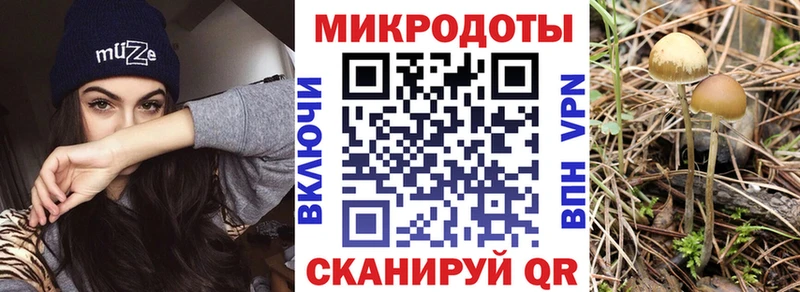 блэк спрут онион  Гай  Псилоцибиновые грибы ЛСД 