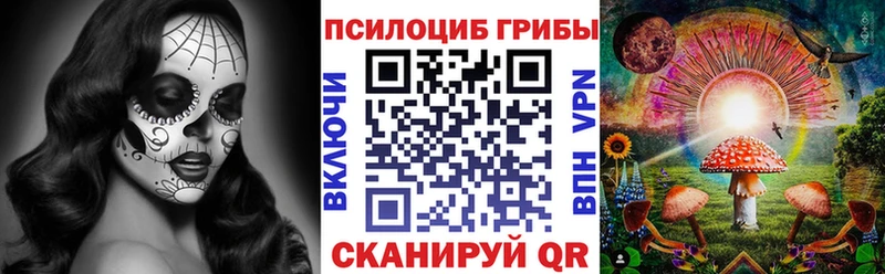 Псилоцибиновые грибы Cubensis Гай