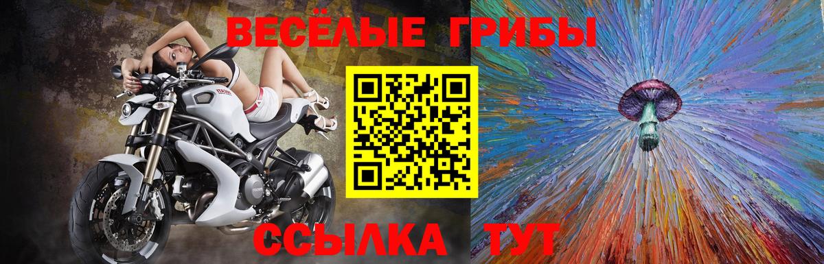 Псилоцибиновые грибы Cubensis Гай