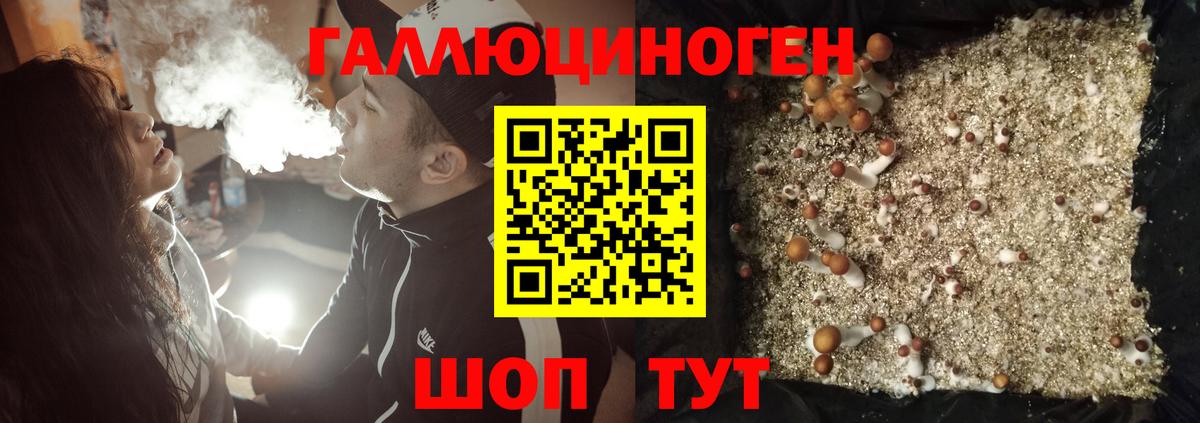 Гай  Псилоцибиновые грибы мицелий  Вход с VPN  Псилоцибиновые грибы MAGIC MUSHROOMS 