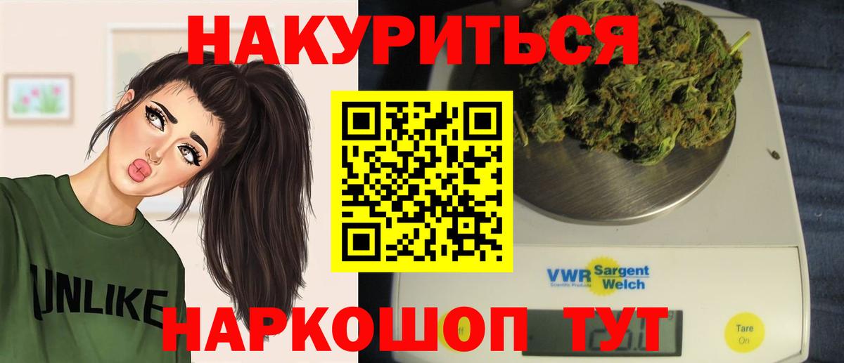 Гай  Канабис планчик  Вход с VPN  МАРИХУАНА MAZAR  Конопля сатива 